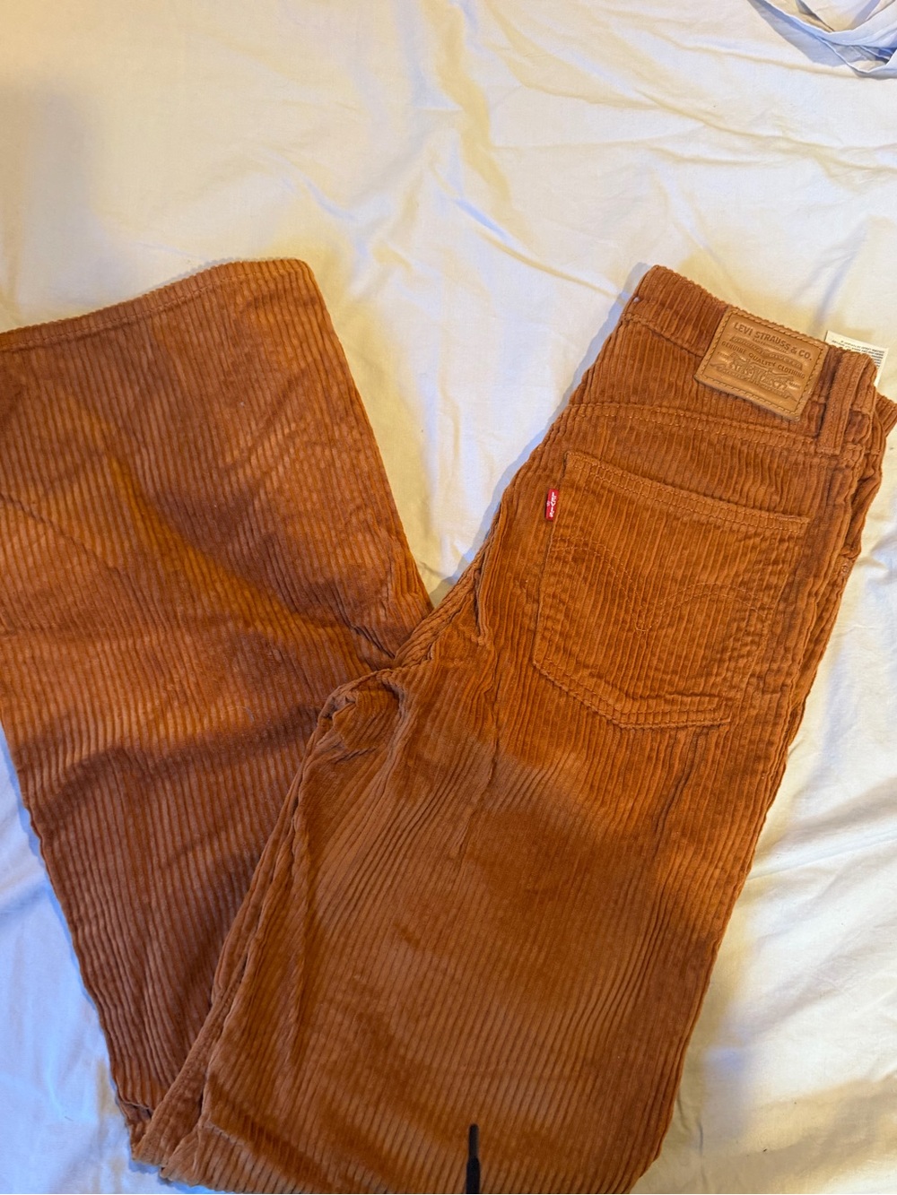Levi's Ribcage Wide Leg High Rise Woman Corduroy Pants in Rust Brown